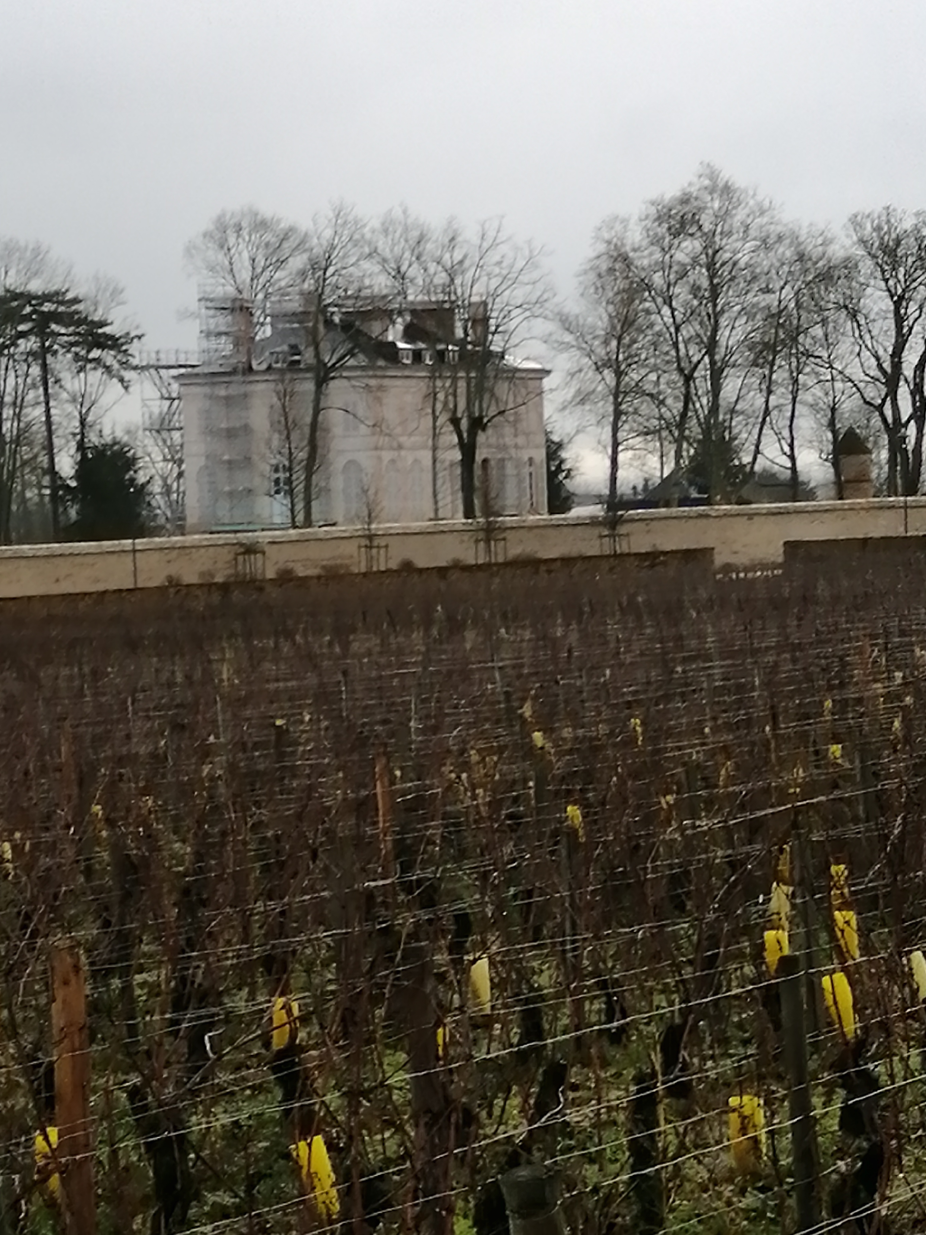 Photo n° 1 de l'avis de Beatrice.a fait le 27/12/2019 à 12:11