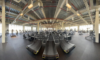 The Warehouse Gym Jumeirah Park - Jumeirah Park - Dubai - United Arab Emirates