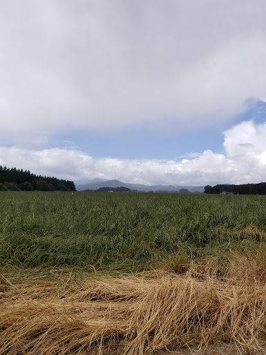 Event Venue «Cornelius Orchard and Farm», reviews and photos, 3375 SW 53rd St, Corvallis, OR 97333, USA