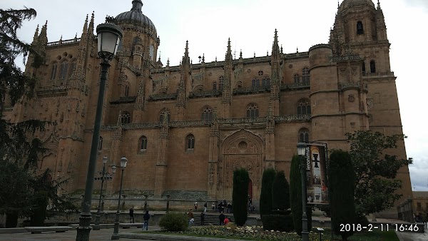 Imagen de Alevia (10 de 17)