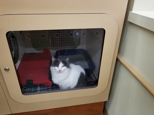 Pet Supply Store «Petco Animal Supplies», reviews and photos, 3055 N President George Bush Hwy, Garland, TX 75040, USA