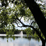 Photo n°3 de l'avis de Laura.i fait le 04/09/2019 à 12:19 sur le  Milchhäuschen à Berlin