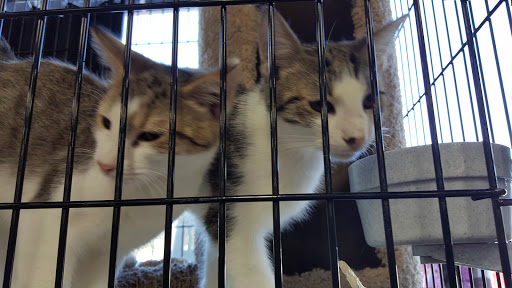 Pet Store «Pet Valu», reviews and photos, 773 Huntingdon Pike, Huntingdon Valley, PA 19006, USA