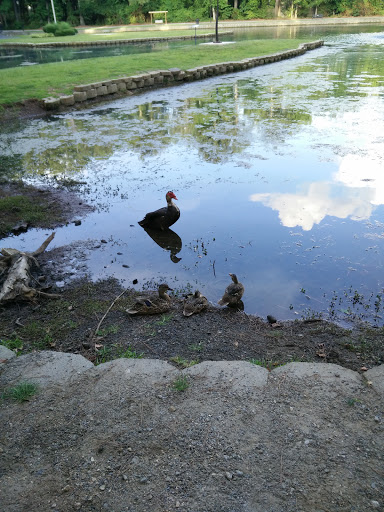 Park «Roswell Area Park», reviews and photos, 10495 Woodstock Rd, Roswell, GA 30075, USA