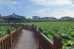Deokjin Park image