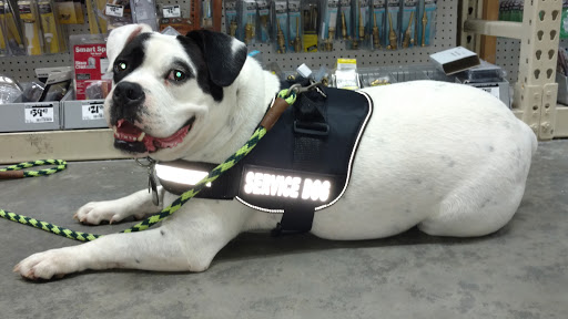 Shopping Mall «Northside Mall», reviews and photos, Ross Clark Cir & Hwy 231, Dothan, AL 36303, USA