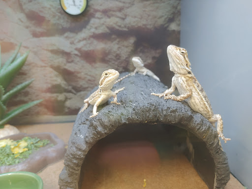 Pet Supply Store «Petco Animal Supplies», reviews and photos, 10383 Reisterstown Rd, Owings Mills, MD 21117, USA