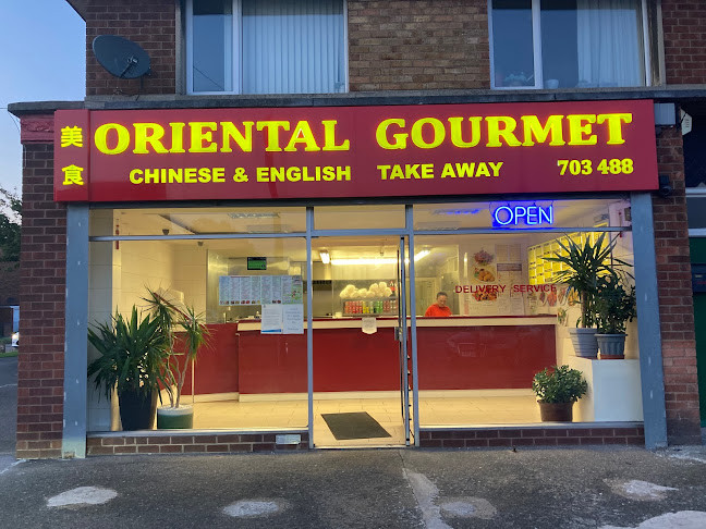 Oriental Gourmet - Hull
