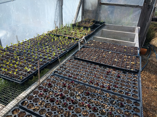 Gift Shop «Homeless Garden Project Store», reviews and photos, 30 W Cliff Dr, Santa Cruz, CA 95060, USA