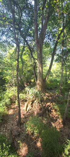 Park «Lake Lotus Park Office», reviews and photos, 1153 Lake Lotus Park Rd, Altamonte Springs, FL 32714, USA