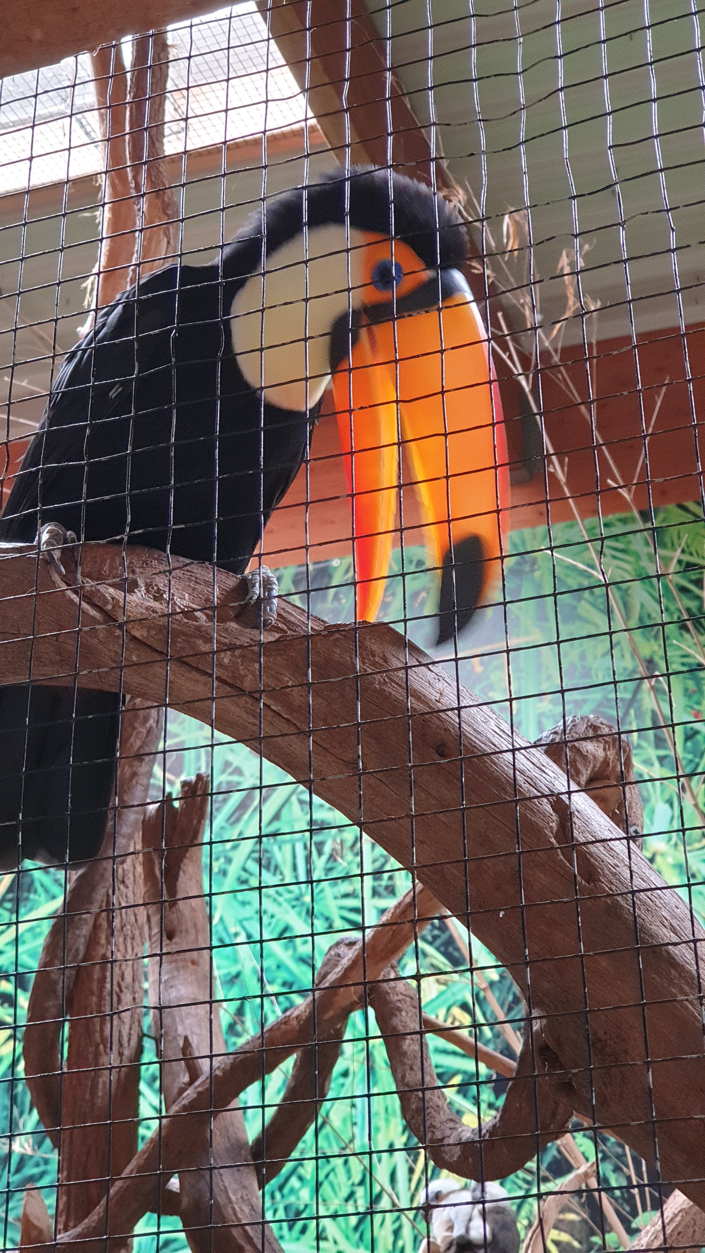 Photo n° 5 de l'avis de frédéric.e fait le 21/07/2022 à 14:28