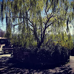 Photo n°28 de l'avis de Calogero.e fait le 31/05/2019 à 23:35 sur le  Agriturismo Leanza La Baita à San Teodoro