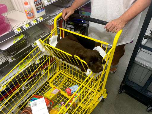 Discount Store «Dollar General», reviews and photos, 5481 Muddy Creek Rd, Churchton, MD 20733, USA