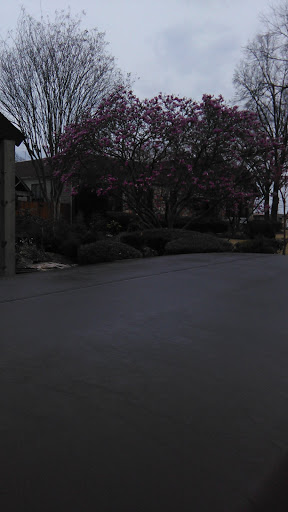 Cemetery «Memorial Park Funeral Home & Cemetery», reviews and photos, 5668 Poplar Ave, Memphis, TN 38119, USA