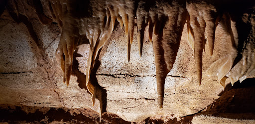 Tourist Attraction «Indiana Caverns», reviews and photos, 1267 Green Acres Dr SW, Corydon, IN 47112, USA