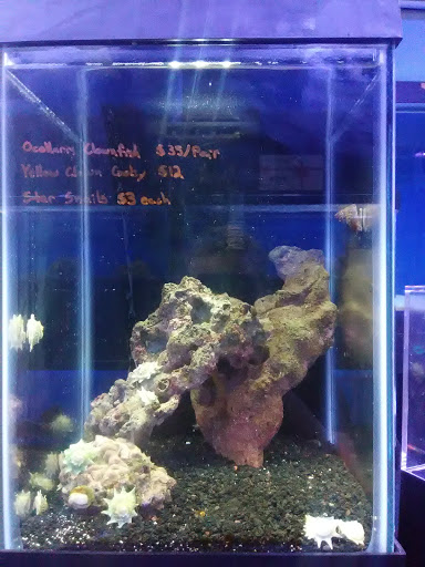 Tropical Fish Store «Oceanside Aquariums», reviews and photos, 2176 N Mt Juliet Rd #105, Mt Juliet, TN 37122, USA