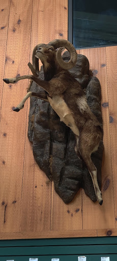 Gun Shop «Vance Outdoors», reviews and photos, 150 Arrowhead Dr, Hebron, OH 43025, USA