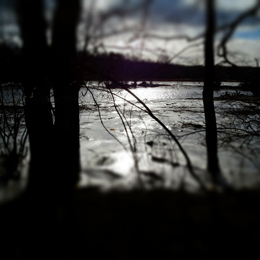 Nature Preserve «Rancocas Nature Center», reviews and photos, 794 Rancocas Mt Holly Rd, Westampton, NJ 08060, USA