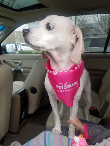 Pet Supply Store «PetSmart», reviews and photos, 1203 N Landing Way, Renton, WA 98057, USA