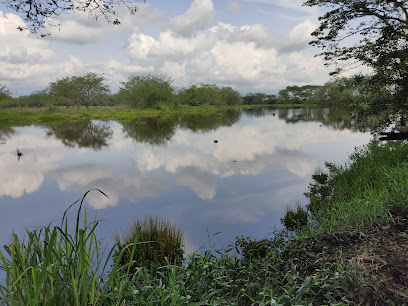 Madrevieja Guarinó