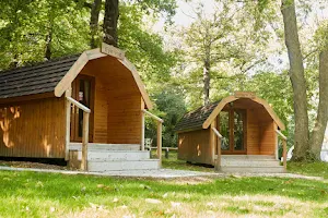 Abbey Wood Caravan and Motorhome Club Campsite image