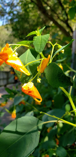 Nature Preserve «Fountain Rock Park & Nature Center», reviews and photos, 8511 Nature Center Place, Walkersville, MD 21793, USA