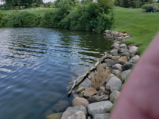 Golf Course «Firestone Country Club», reviews and photos, 452 East Warner Road, Akron, OH 44319, USA