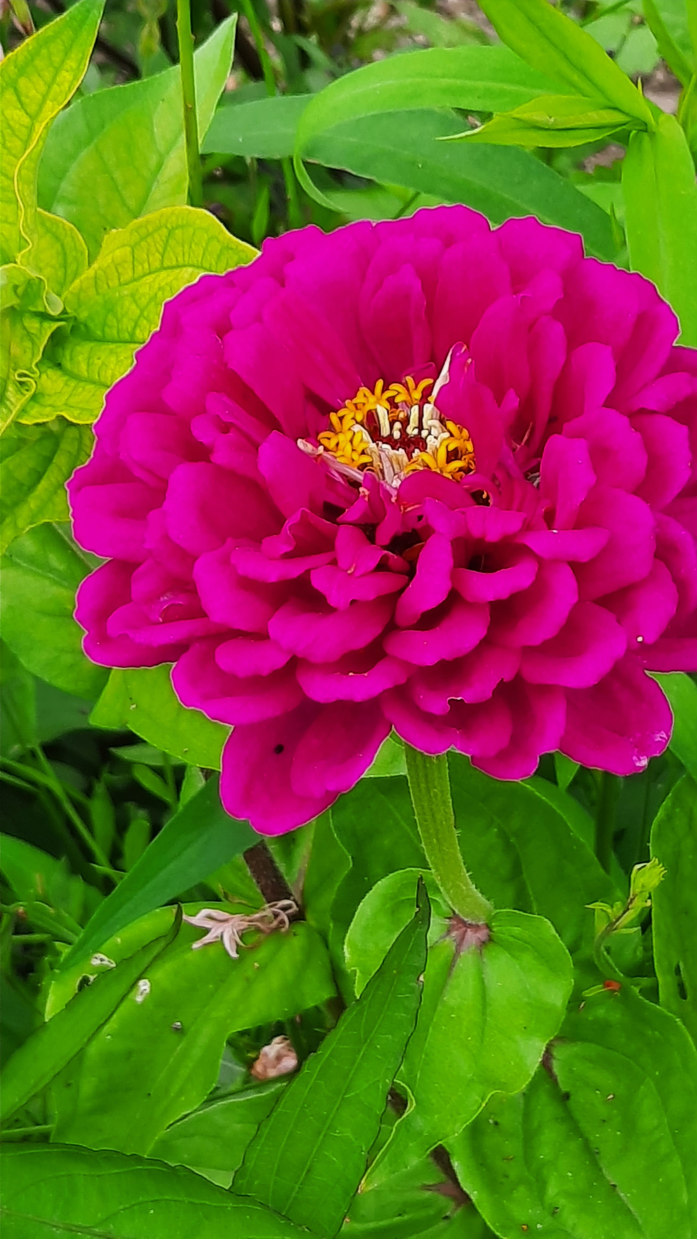 Photo n° 7 de l'avis de Louve.e fait le 22/07/2020 à 08:42