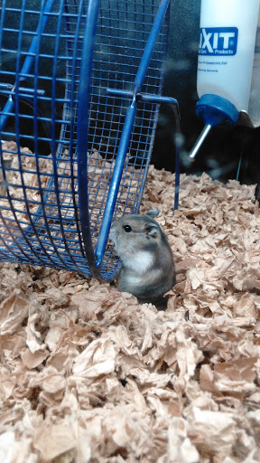 Pet Supply Store «Pet Supplies Plus», reviews and photos, 319 N Berkeley Blvd, Goldsboro, NC 27534, USA