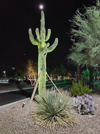 Golf Course «Talking Stick Golf Club», reviews and photos, 9998 E Indian Bend Rd, Scottsdale, AZ 85256, USA