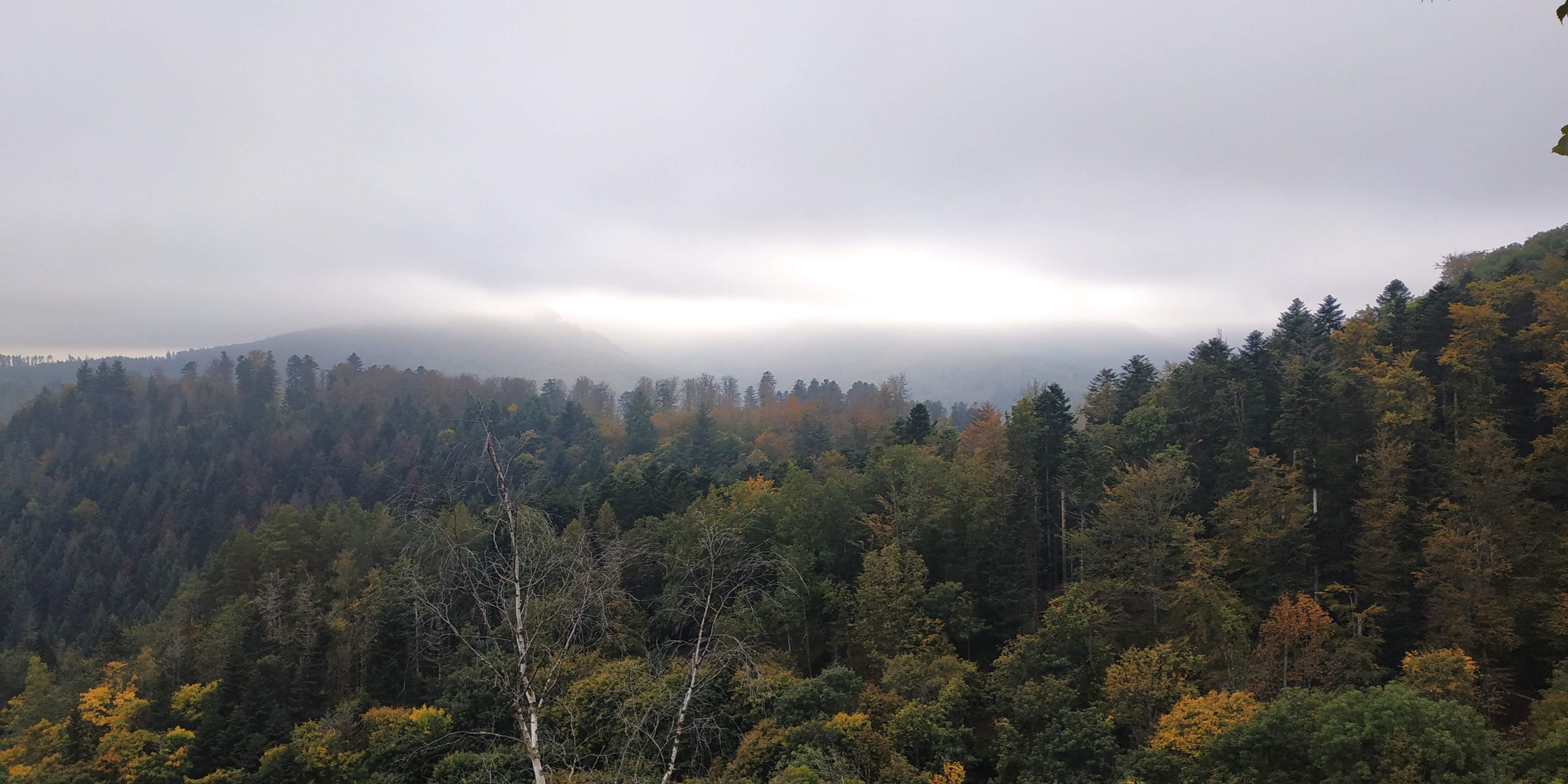 Photo n° 5 de l'avis de Sorti.u fait le 18/10/2021 à 08:32