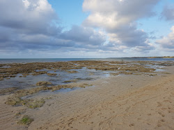Foto di Shangani Beach con molto pulita livello di pulizia