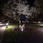 Photo n°21 de l'avis de Katia.e fait le 24/02/2022 à 22:15 sur le  Villa Quaranta à Ospedaletto