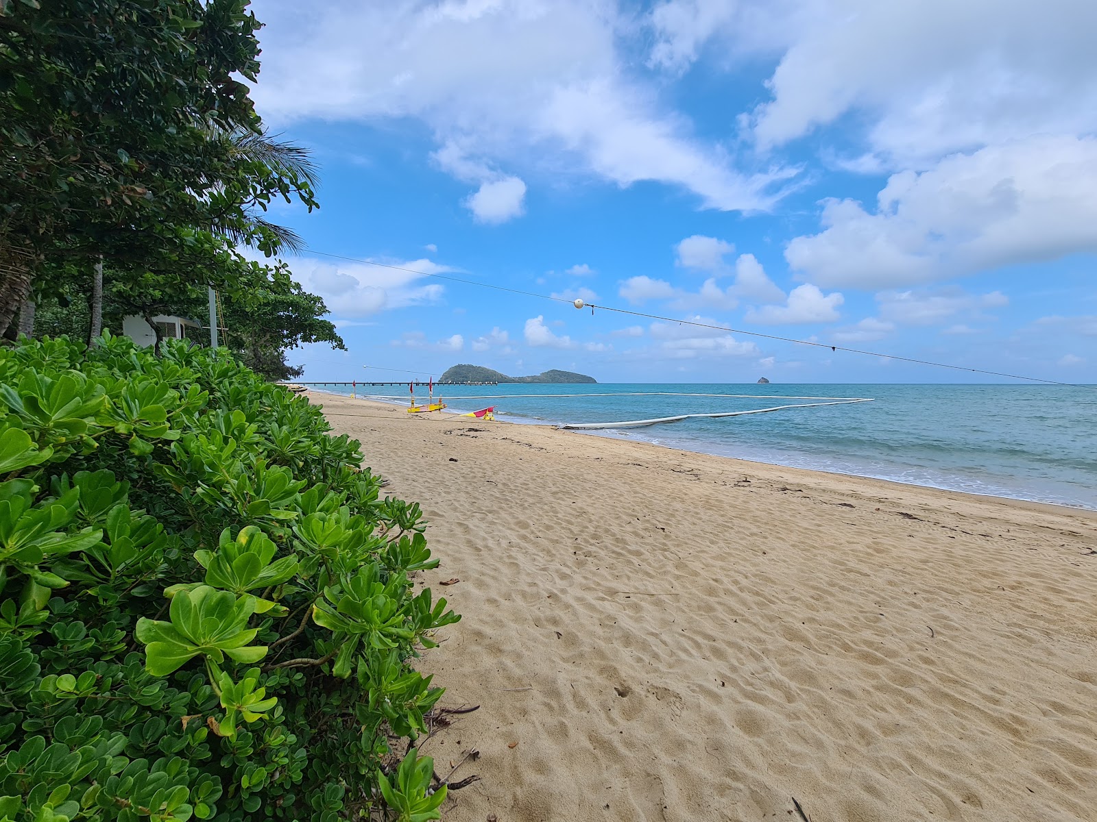 Photo of Palm Cove Beach and the settlement