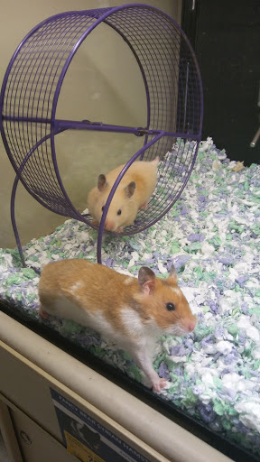 Pet Supply Store «PetSmart», reviews and photos, 8660 Airline Hwy, Baton Rouge, LA 70815, USA