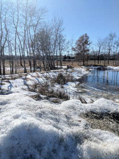 Toyota Dealer «Carlson Toyota», reviews and photos, 12880 Riverdale Dr NW, Coon Rapids, MN 55448, USA