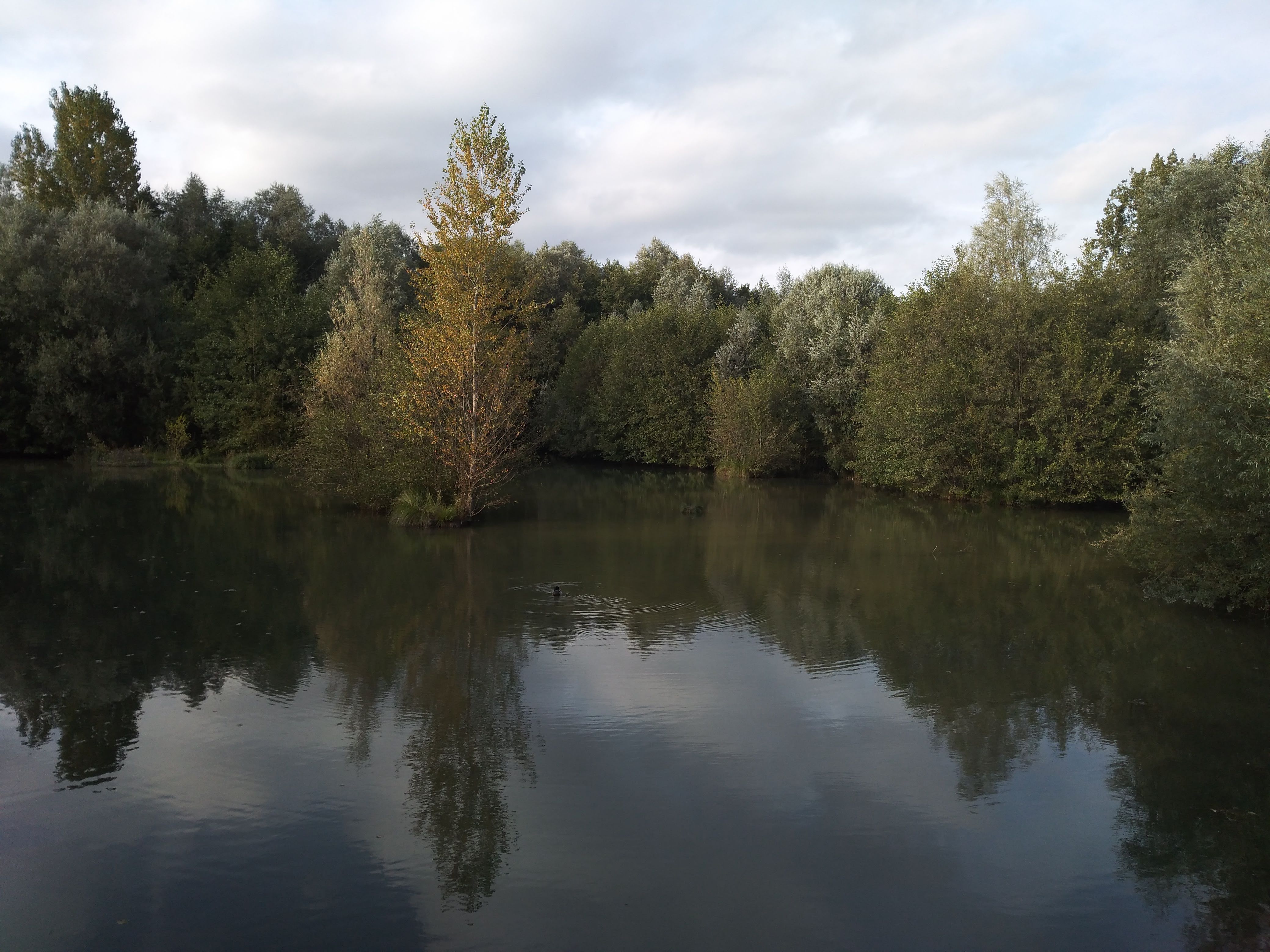 Photo n° 2 de l'avis de Laura.a fait le 12/10/2019 à 20:51
