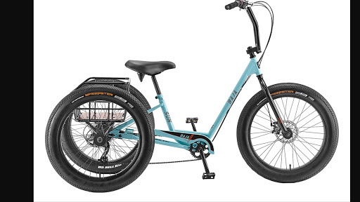 Bicycle Store «Ride N Roll Cyclery», reviews and photos, 6572 Seminole Blvd, Seminole, FL 33772, USA