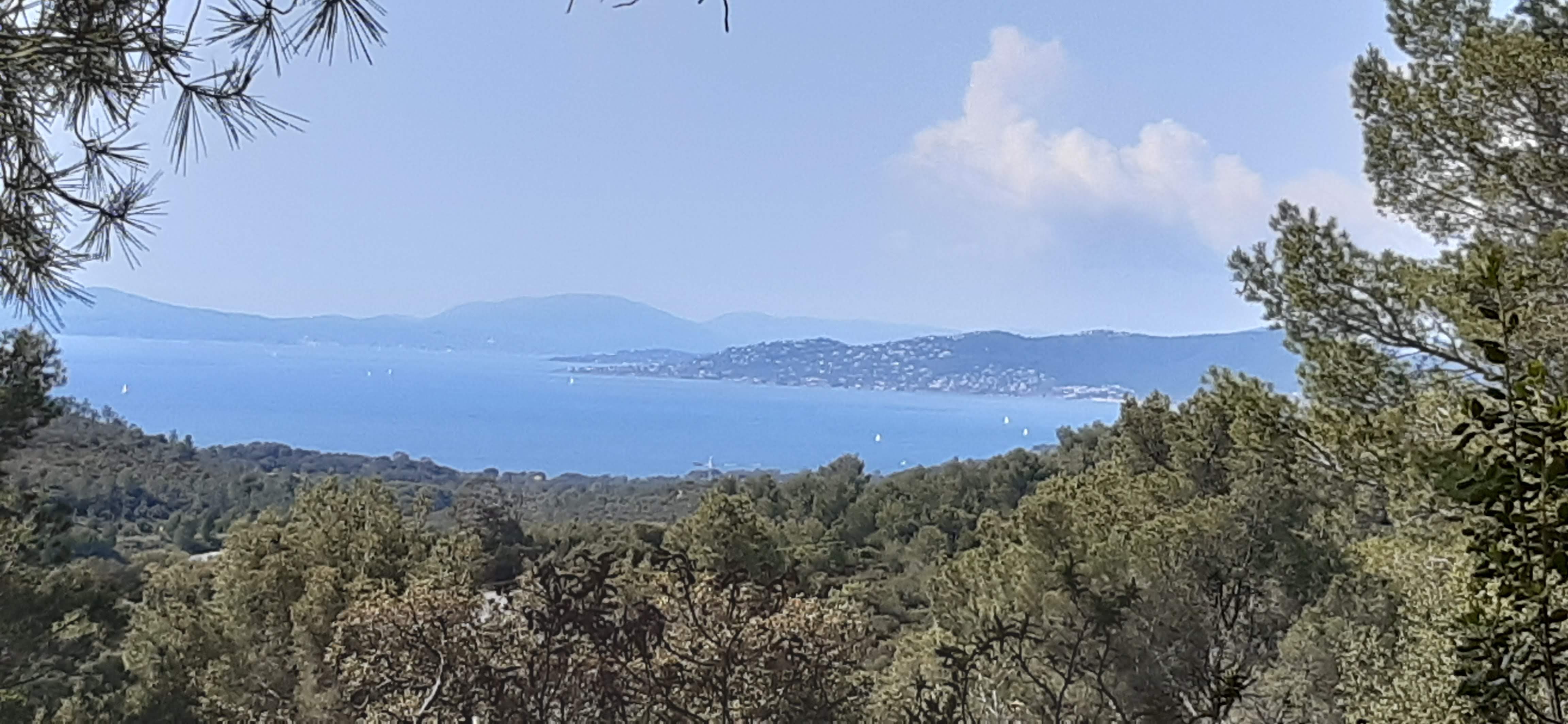 Photo n° 14 de l'avis de stephane.h fait le 15/08/2021 à 04:55
