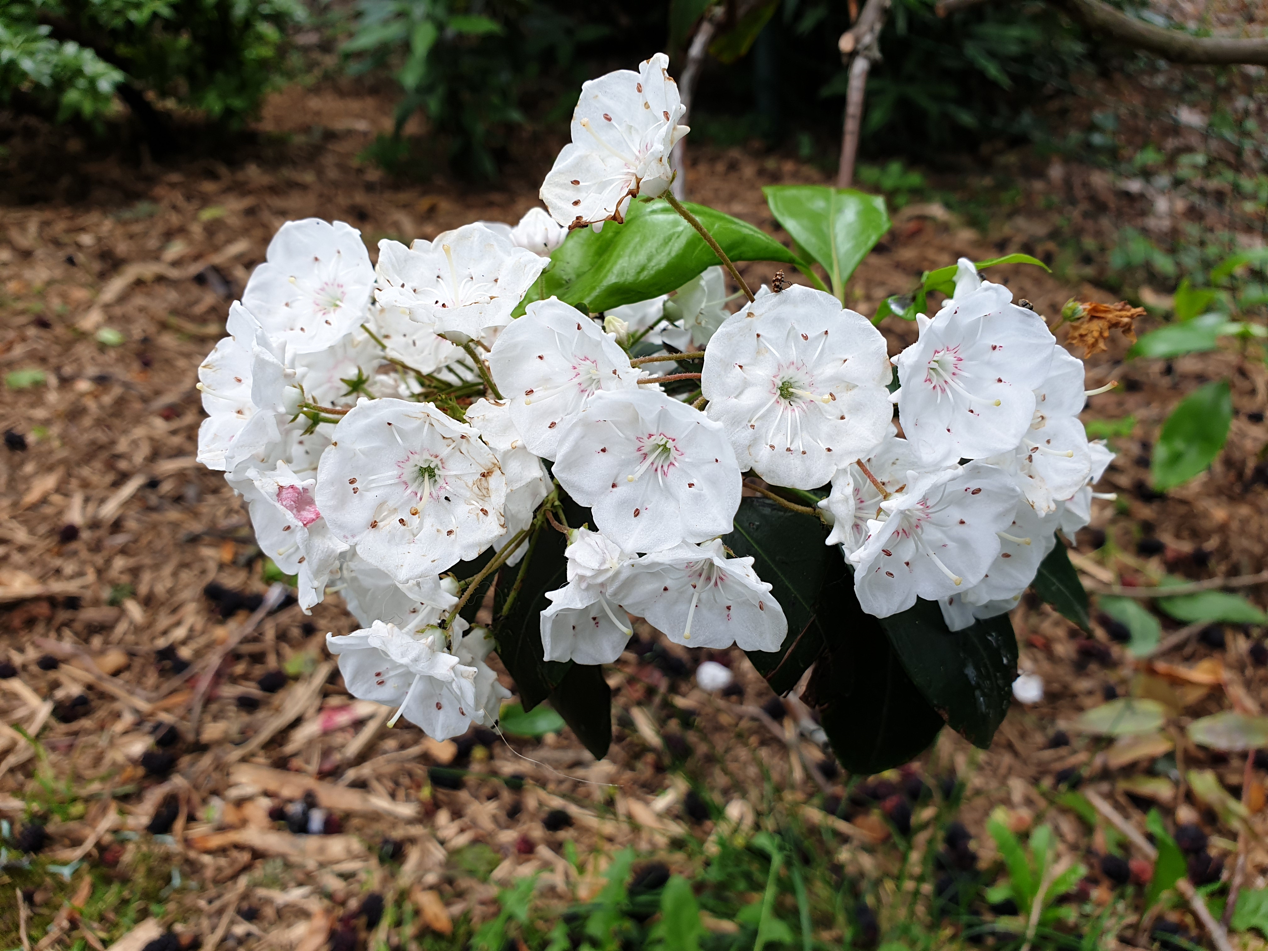 Photo n° 17 de l'avis de Sylvain.o fait le 04/06/2019 à 14:15