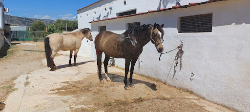 Club Hípico Oropesa en Oropesa del Mar, Castellón