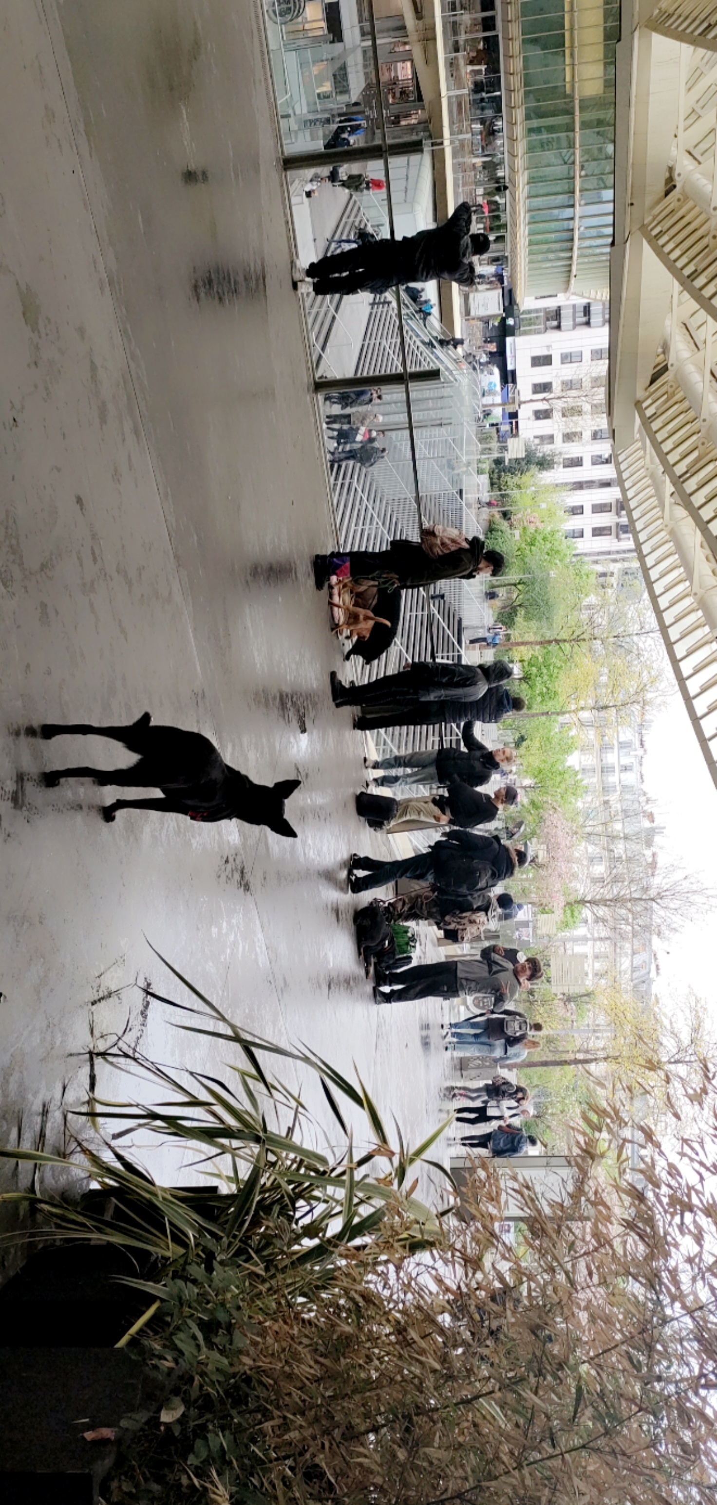 Photo n° 1 de l'avis de Amine.e fait le 14/04/2022 à 09:03