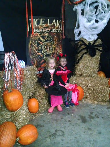 Motorcycle Dealer «Rice Lake Harley-Davidson», reviews and photos, 2801 S Wisconsin Ave, Rice Lake, WI 54868, USA