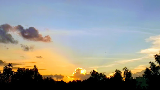 Google Maps image 24