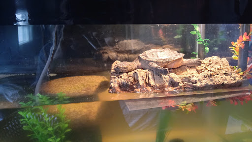 Pet Supply Store «Petco Animal Supplies», reviews and photos, 5925 US-6, Portage, IN 46368, USA