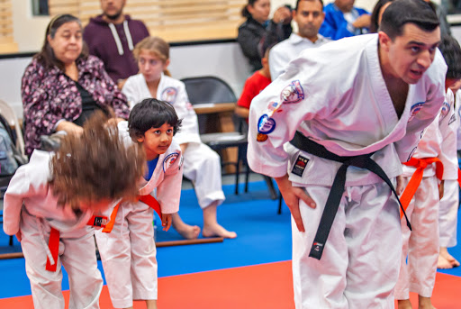 American Martial Arts Academy image