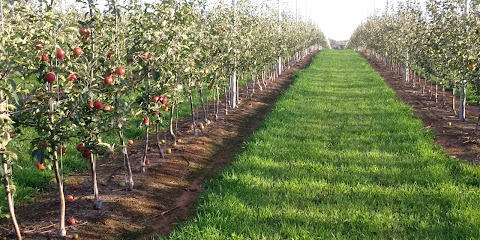 red shore Orchards