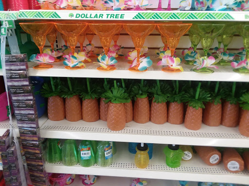 Dollar Store «Dollar Tree», reviews and photos, 21700 W Eleven Mile Rd, Southfield, MI 48076, USA