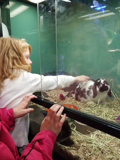 Pet Store «Critter Cabana - Wilsonville», reviews and photos, 8406 SW Main St #200, Wilsonville, OR 97070, USA