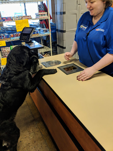 Pet Supply Store «PetSmart», reviews and photos, 1742 E 3rd St, Williamsport, PA 17701, USA